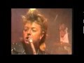 Stray cats  cross of love