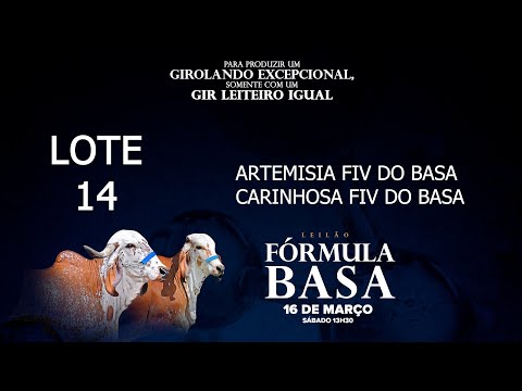 LOTE 14   BASA 261   BASA 1188