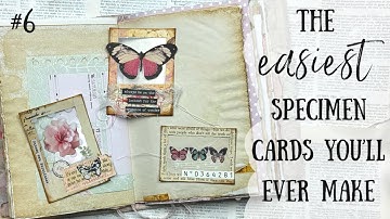 The EASIEST Specimen Cards to make TUTORIAL | My Big Fat Pink Journal No6 🩷🌸