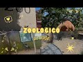 ¿Sientes que no tienes nada para dar? Este paseo al zoológico te dará una nueva perspectiva