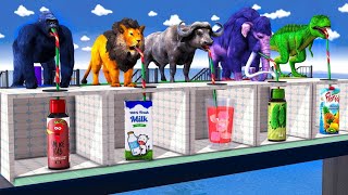 Choose The Right Mystery Shape & Right Wall Challenge With Elephant Cow Gorilla Buffalo Wild Animals