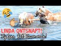 LINDA ONTSNAPT & MOOISTE PAARDEN ZWEM PLEK OOIT!  #BTL CAMP #3