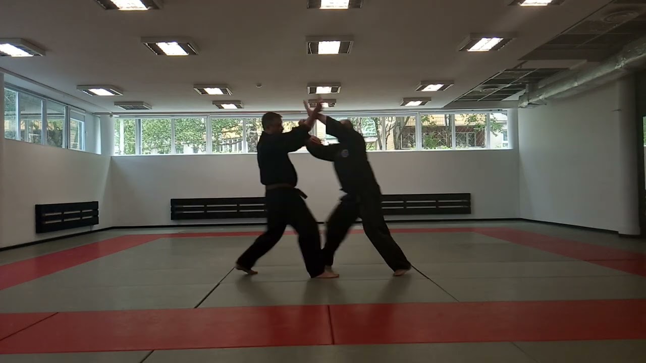 Ханкидо . Защита от секущего удара ножом .