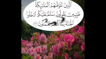 سورة النحل الآية ( 32 )