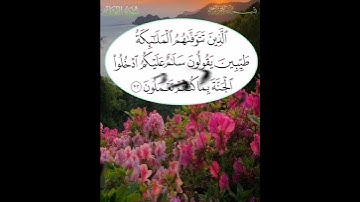 سورة النحل الآية ( 32 )