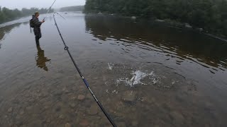 видео: НОЧНАЯ ЛОВЛЯ ФОРЕЛИ НА РЕКЕ / NIGHT TROUT FISHING ON THE RIVER картинка: НОЧНАЯ ЛОВЛЯ ФОРЕЛИ НА РЕКЕ / NIGHT TROUT FISHING ON THE RIVER