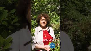 Η μάνα μου έκρυβε ψωμί μέσα στην κοπριά για να...