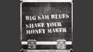 Shake Your Money Maker