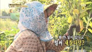 자기야 130822 #12(4)