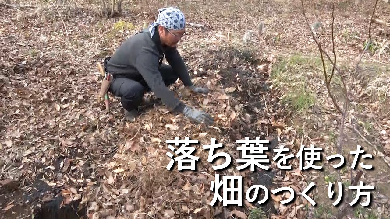 落ち葉を使った畑のつくり方：土中環境の改善方法