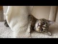実際はめちゃくちゃ暴れてます