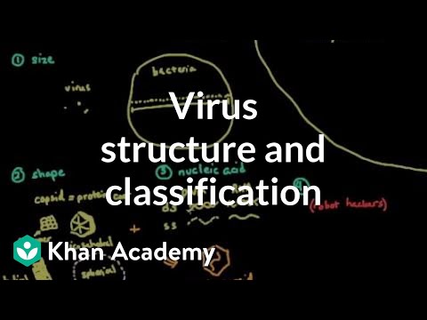 वायरस संरचना और वर्गीकरण | सेल | एमसीएटी | खान अकादमी