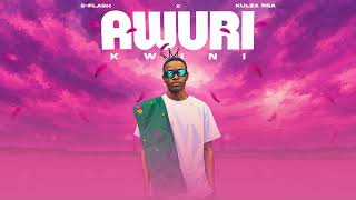 E-Flash x KULZA RSA - Awuri kwini ( OFFICIAL AUDIO VISUALIZER)