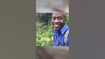 MW3 But memes make it better #callofduty #memes