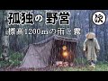 【ソロキャンプ】雨と霧の暗い森。