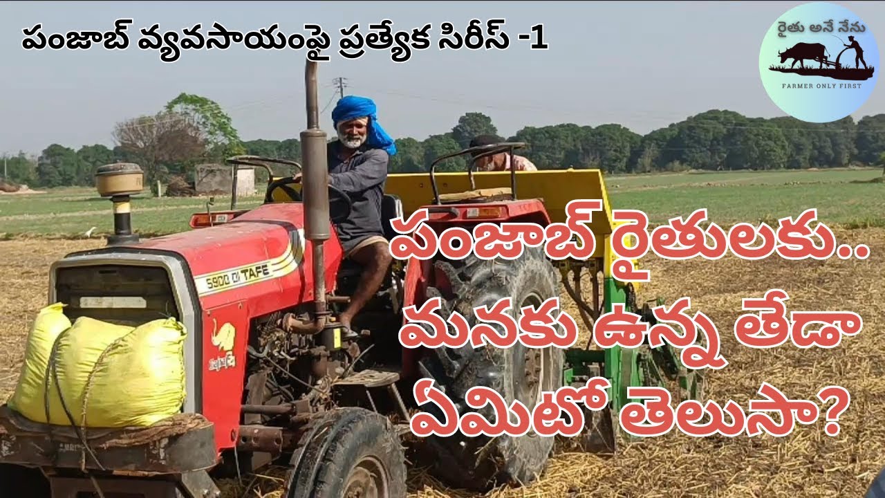 punjab agriculture: పంజాబ్ రైతులకు మనకు ఉన్న తేడా ఏమిటి? అక్కడి వ్యవసాయంపై ప్రత్యేక సిరీస్-1