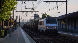 Compilation de trains en gare de Montelimar