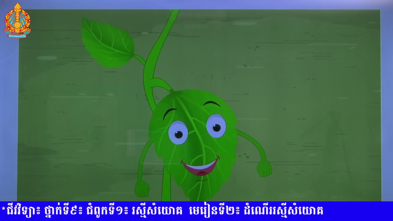 ជីវវិទ្យា​ថ្នាក់ទី៩ ​ជំពូកទី១ មេរៀនទី២ ៖ ដំណើររស្មីសំយោគ