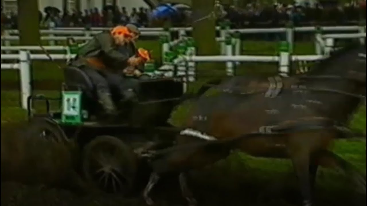 Fourinhand driving Breda 1993 Marathon & Cones YouTube