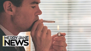 How Diverse Is the Cannabis Industry? | MERRY JANE News