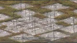 Celebrity Introduction to LOFAR - the Low Frequency Array (Part 1) Wealth
