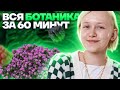 Вся ботаника за 60 минут. Что нужно