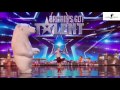 هل رأيت في حياتك دمية دب ترقص برنامج المواهب     2016