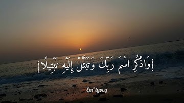 القارئ عبدالرحمن مسعد - {إن لك في النهار سبحا طويلا واذكر اسم ربك وتبتل إليه تبتيلا} {سورة المزمل}