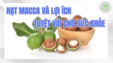 Hạt macca và lợi ích tuyệt vời cho sức khỏe | Lợi ích của thực phẩm | Dinh Dưỡng & Sức Khỏe #macca