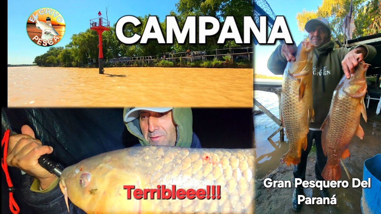 FUIMOS A BUSCARLAS!! .. CARPONES DE 10 KG (LUGAR INCREIBLE) LO DEL 