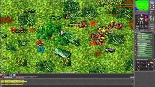 Tibia matando um booter #2