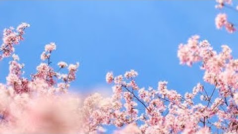 Your back turn        (Read desc)