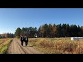 Walk in Sunshine Scenic Autumn &Recall Awesome Family Trio Kunnioitusta Perhe Trio Songs iPhone11 4K Mp3 Song