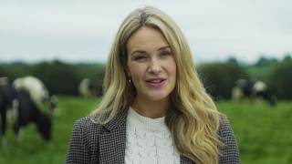 Avonmore Farmfulness screenshot 5
