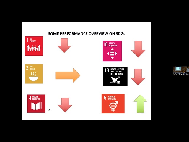 THE ROLE OF SOCIAL WORK IN REALISING THE SUSTAINABLE DEVELOPMENT GOALS 3