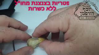 פטריות בצנצנת מחו"ל ללא כשרות, הרב יוסף דורפמן, Rabbi yosef dorffman, נגיעות בפטריות, רימות