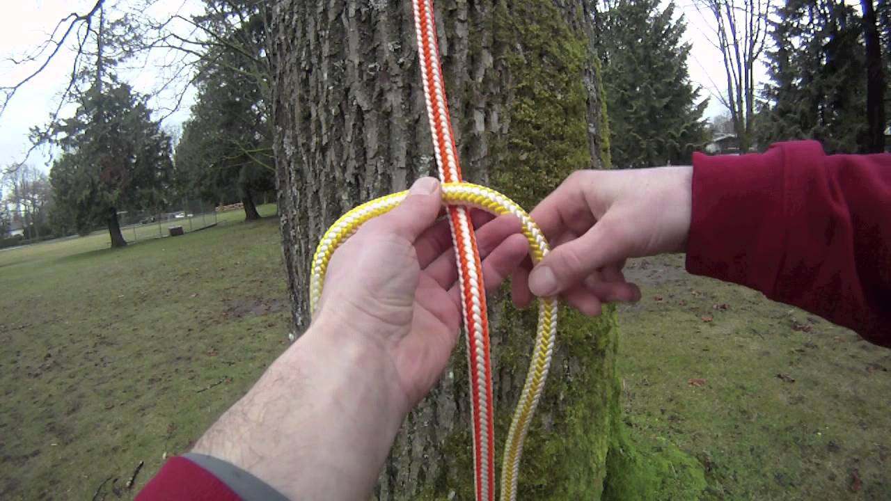 How to tie a blake's hitch for tree climbing 