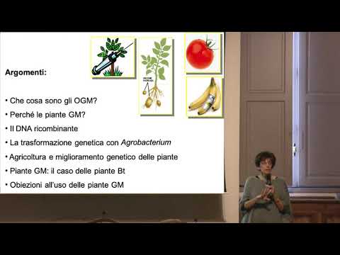 Silvia Perotto, Biologie vegetali e piante geneticamente modificate