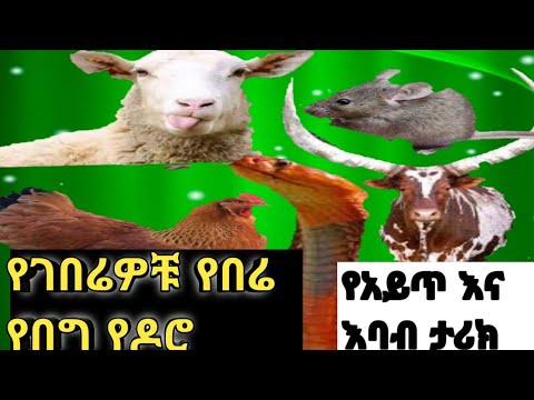 ቪዲዮ: የሩሲያ ጦር መውደቅ እና የዓለም ጦርነት የማይቀር ነው። ኮንስታንቲን ሲቭኮቭ