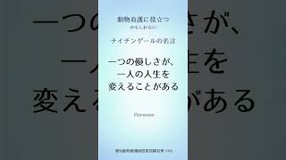 #愛玩動物看護師#国家試験対策 #練習問題 #雑学 #動物看護師  #国家試験 #VN #動物看護 #shorts  #動物看護師