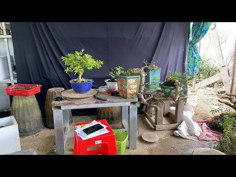 Video Tặng Quà Tri Ân Khách Hàng Tập 5 - youtube