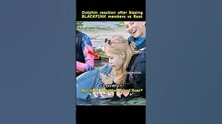 Blackpink members kissed Dolphin 🐬 #blackpinkedit #jennie #rosé #jisoo #lalisa