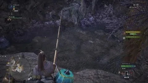 تحميل 調査協力 バクヤクデメキンの捕獲 Mp4 Mp3