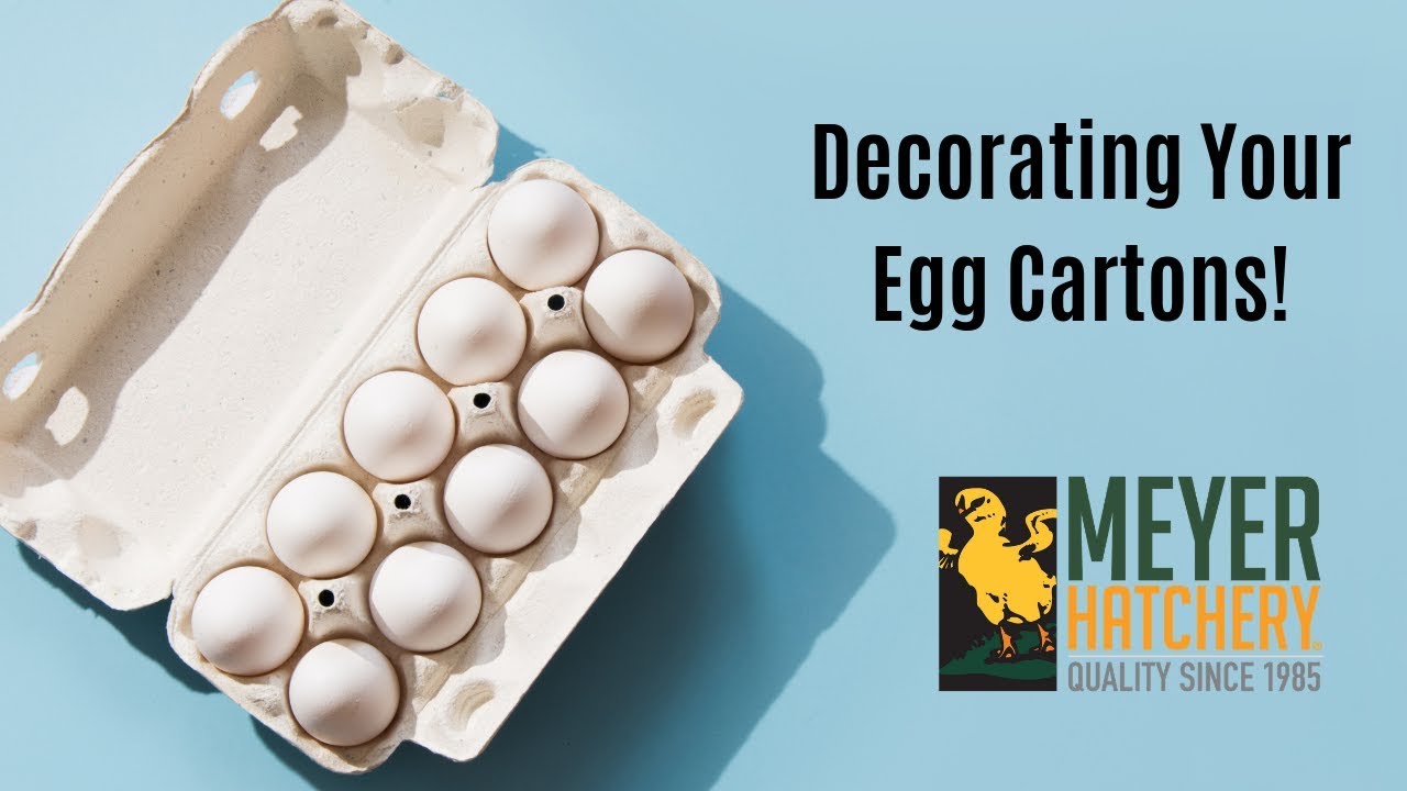 Spice Up Your Egg Cartons