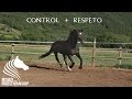 Doma Natural - Cómo REEDUCAR a tu caballo 1/7