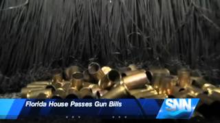 SNN: Florida House Passes Gun Bills