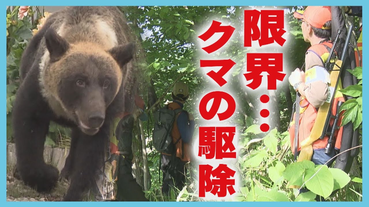 命の危険　クマと対峙するハンター「最低賃金にもならない」　民間頼みの駆除　北海道