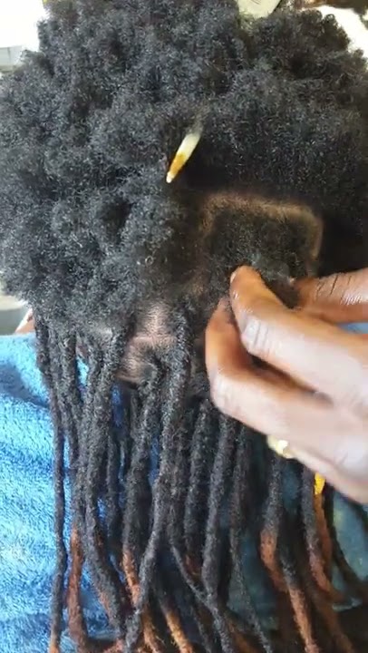 Fresh Dreadlocks
