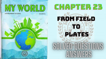 |CLASS 5TH|PSEB|EVS|CHAPTER 23[FROM FIELD TO PLATES]