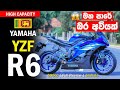 YAMAHA YZF R6 (600cc) Full Review in Sinhala | Sri Lanka